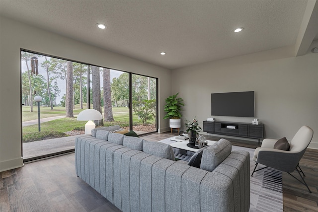 living room with hardwood / wood-style floors and a textured ceiling