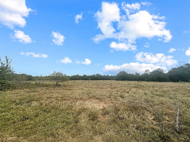 Listing photo 2 for 33/-ACRES Davis Rd, Muldoon TX 78949