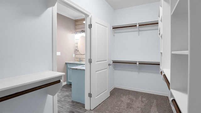 spacious closet with dark colored carpet and sink