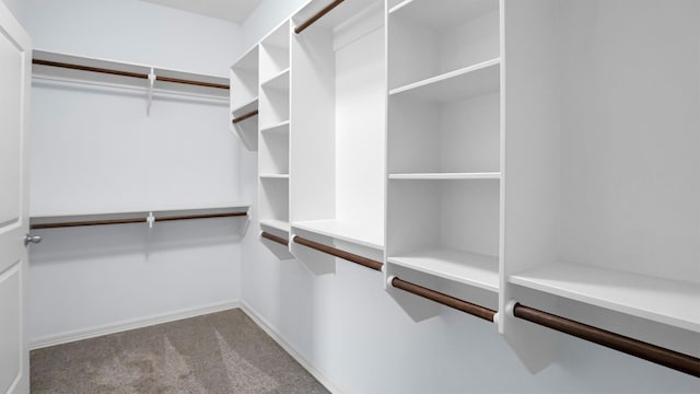 spacious closet with light colored carpet