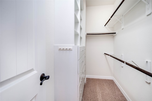 walk in closet featuring carpet flooring