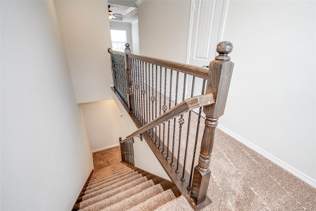 staircase featuring carpet