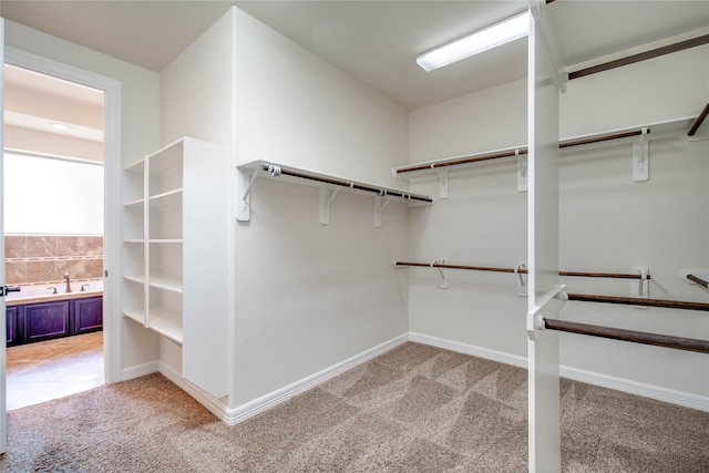 walk in closet featuring light colored carpet and sink