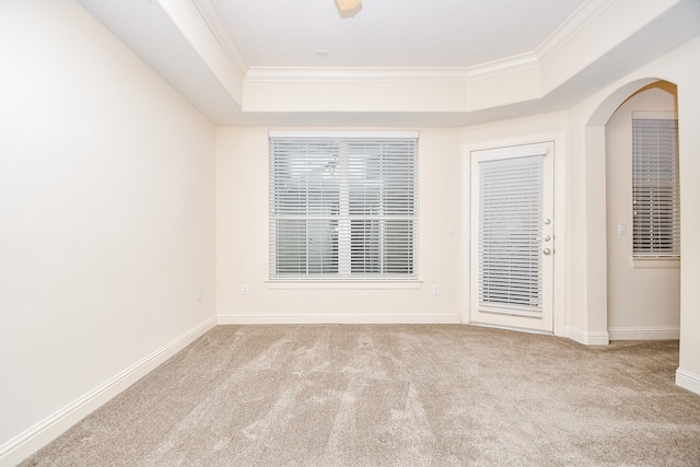 spare room featuring light carpet, a raised ceiling, and ornamental molding