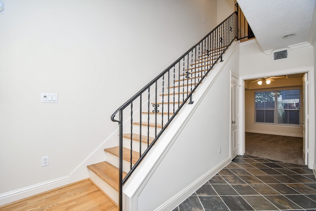 staircase featuring carpet