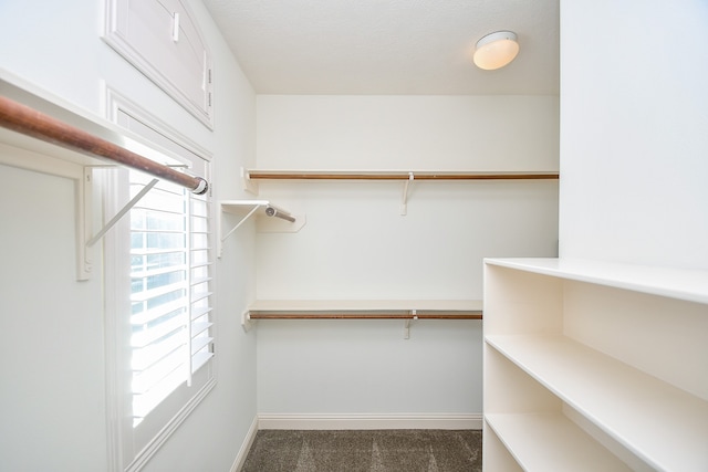 walk in closet with dark colored carpet