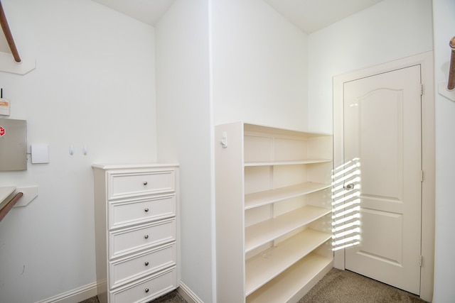 spacious closet featuring carpet