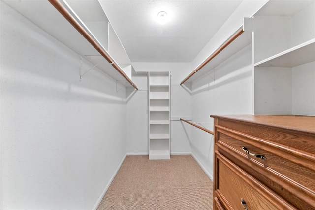 walk in closet with light carpet