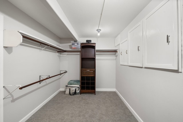 spacious closet with carpet