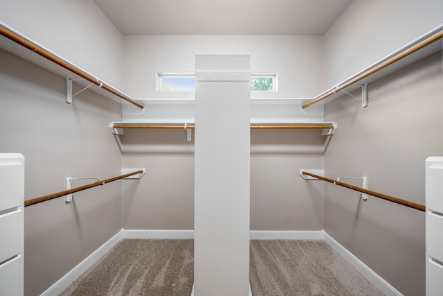 spacious closet featuring light colored carpet