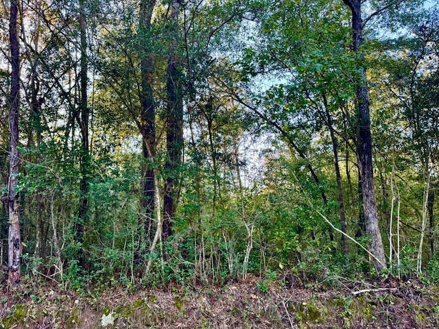 Listing photo 3 for TBD Village Creek Rd, Silsbee TX 77656