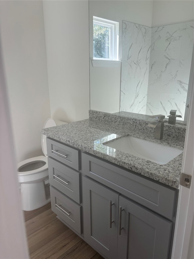 bathroom with vanity, wood-type flooring, and toilet