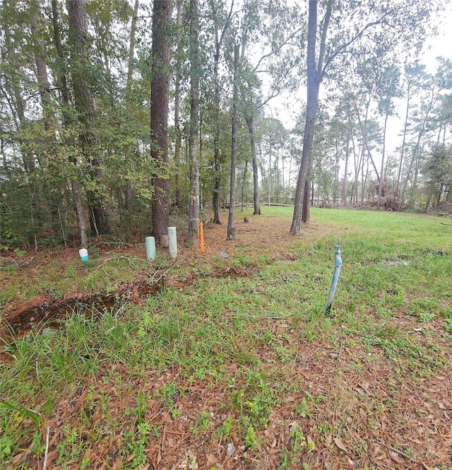 818 Scribe St, New Caney, TX 77357