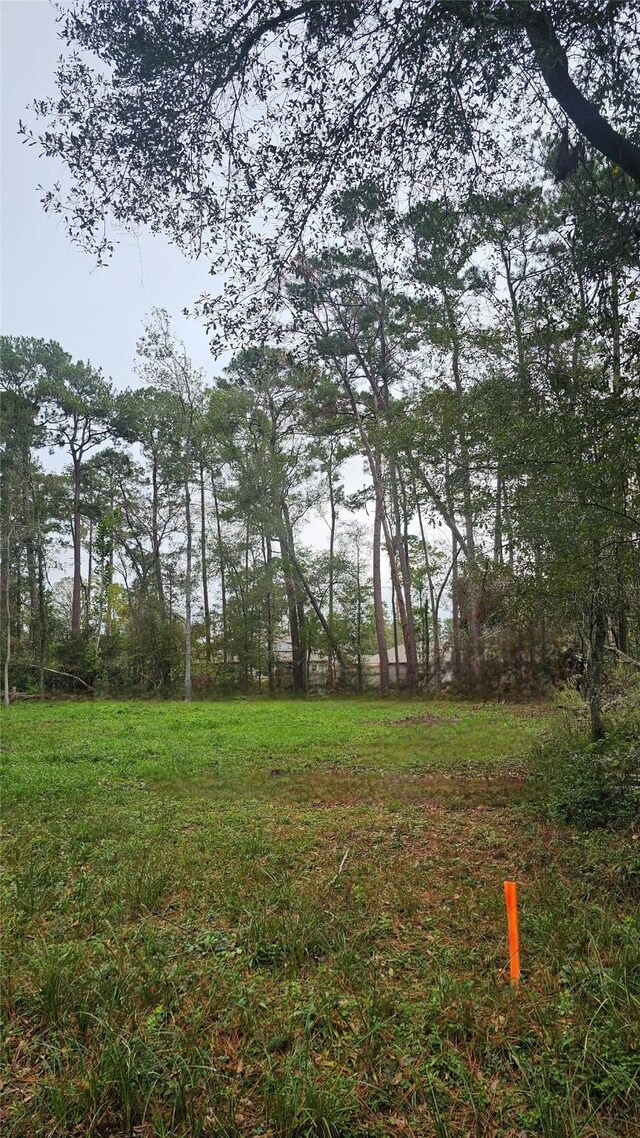818 Scribe St, New Caney, TX 77357