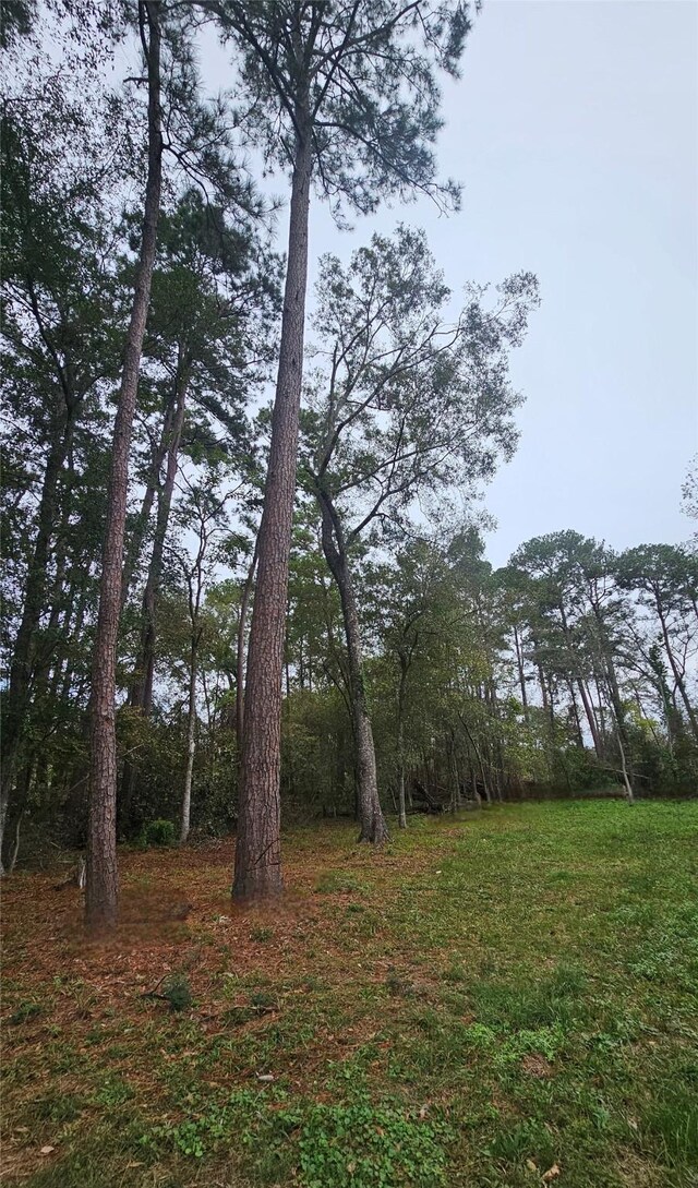 818 Scribe St, New Caney, TX 77357