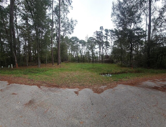 818 Scribe St, New Caney, TX 77357
