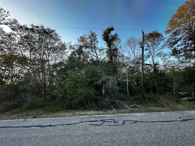 00 County Road 924th Dr, Sweeny TX, 77480 land for sale