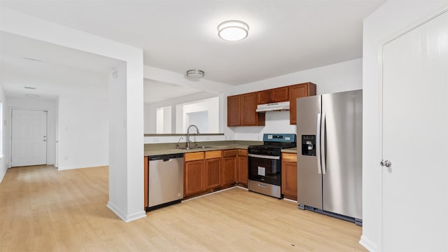 kitchen featuring light wood-type flooring, stainless steel appliances, and sink