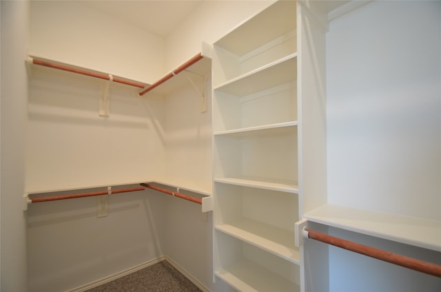 walk in closet featuring carpet floors