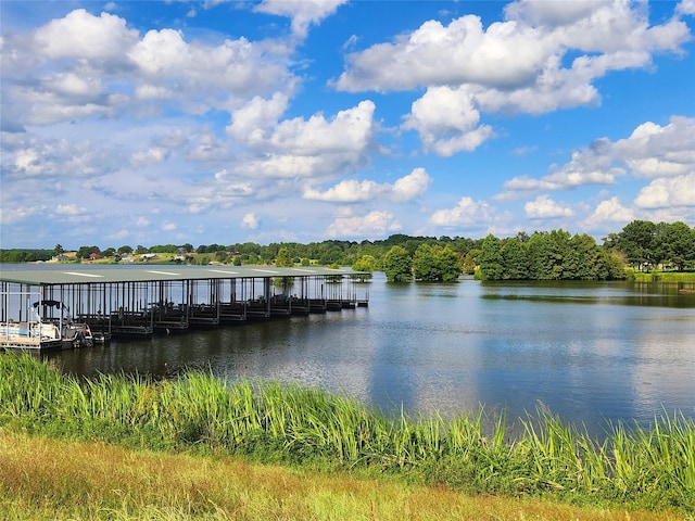 LOT155 Lago Vista Dr, Athens, TX 75752 - photo 4