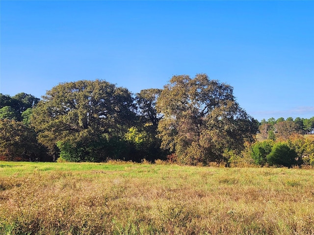 LOT155 Lago Vista Dr, Athens, TX 75752 - photo 25