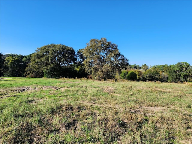 LOT155 Lago Vista Dr, Athens, TX 75752 - photo 28