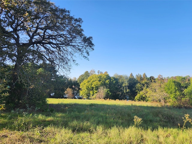 LOT155 Lago Vista Dr, Athens, TX 75752 - photo 29