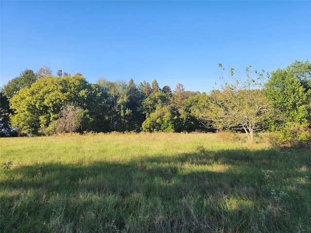 LOT155 Lago Vista Dr, Athens, TX 75752 - photo 30