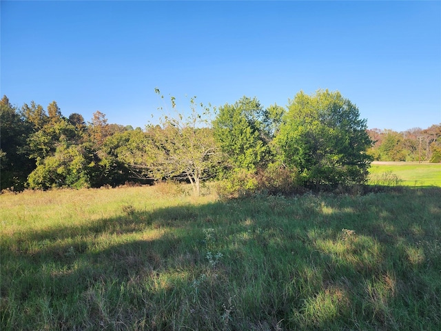 LOT155 Lago Vista Dr, Athens, TX 75752 - photo 31