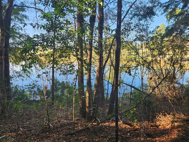 LOT155 Lago Vista Dr, Athens, TX 75752 - photo 33