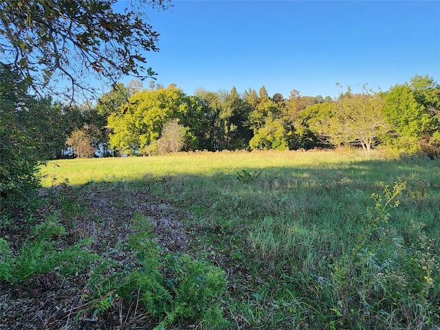 LOT155 Lago Vista Dr, Athens, TX 75752 - photo 39