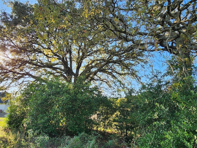 LOT155 Lago Vista Dr, Athens, TX 75752 - photo 41