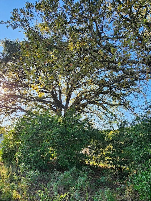 LOT155 Lago Vista Dr, Athens, TX 75752 - photo 42