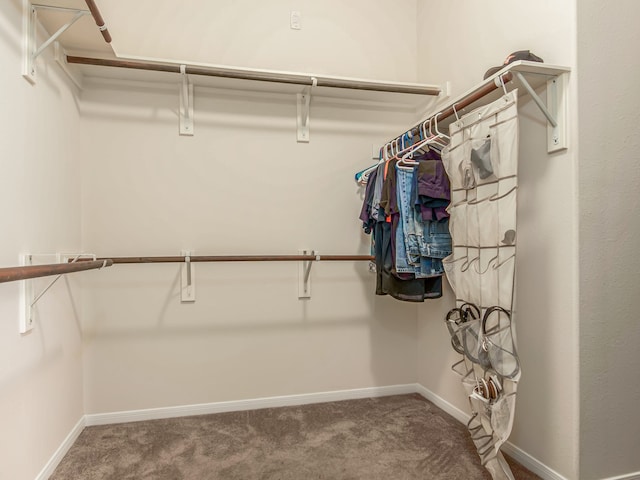 spacious closet featuring carpet floors