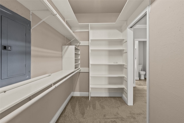 spacious closet featuring light colored carpet and electric panel