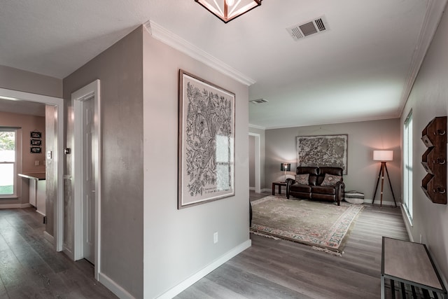 hallway featuring hardwood / wood-style flooring and ornamental molding