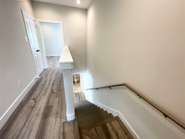 staircase with hardwood / wood-style flooring