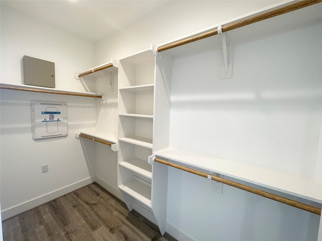 walk in closet with dark hardwood / wood-style floors