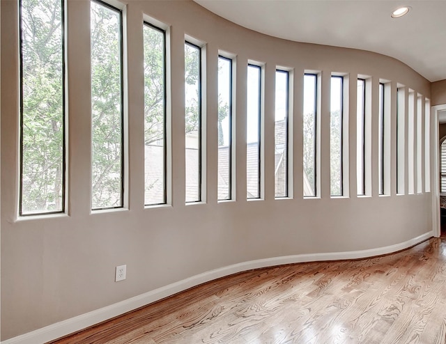 unfurnished room featuring a wealth of natural light and light wood-type flooring