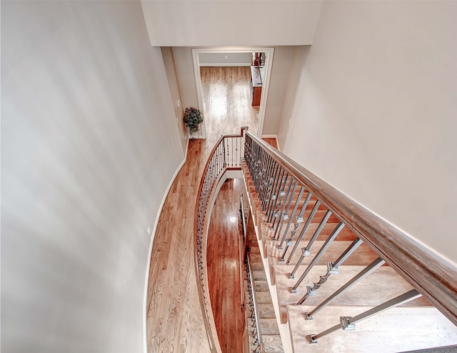 stairs with wood-type flooring