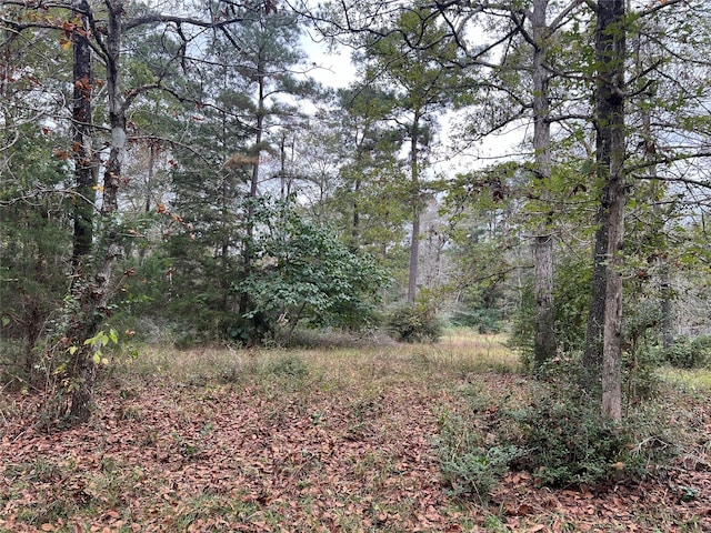 161 Jordan Dr, Livingston, TX 77351 - photo 12