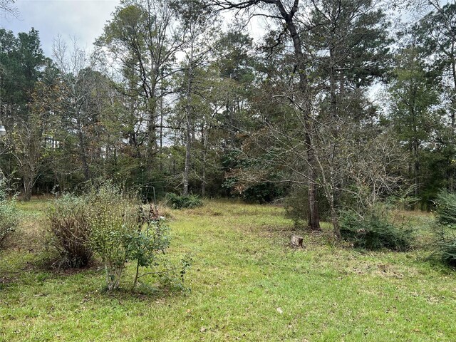 161 Jordan Dr, Livingston, TX 77351 - photo 17