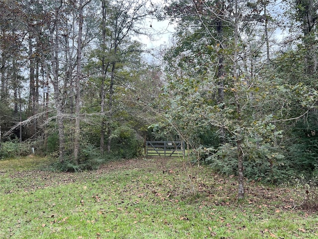 161 Jordan Dr, Livingston, TX 77351 - photo 18