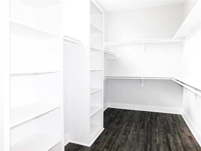 walk in closet with dark hardwood / wood-style floors