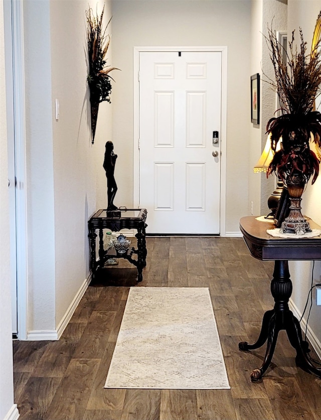 foyer entrance featuring dark hardwood / wood-style flooring