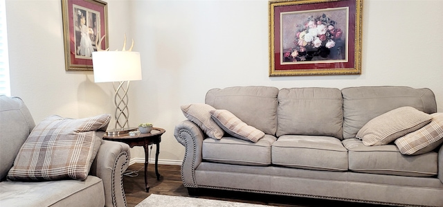 living room featuring dark hardwood / wood-style flooring