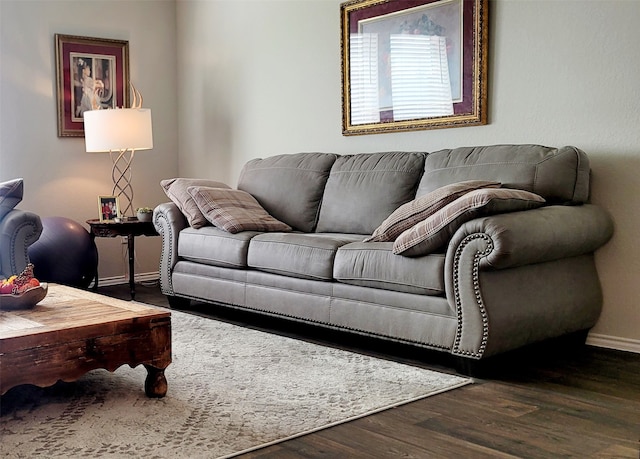 living room with dark hardwood / wood-style flooring