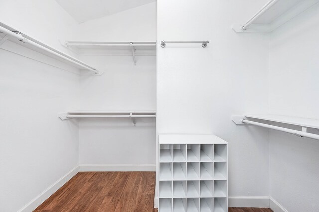 spacious closet featuring dark hardwood / wood-style floors and vaulted ceiling