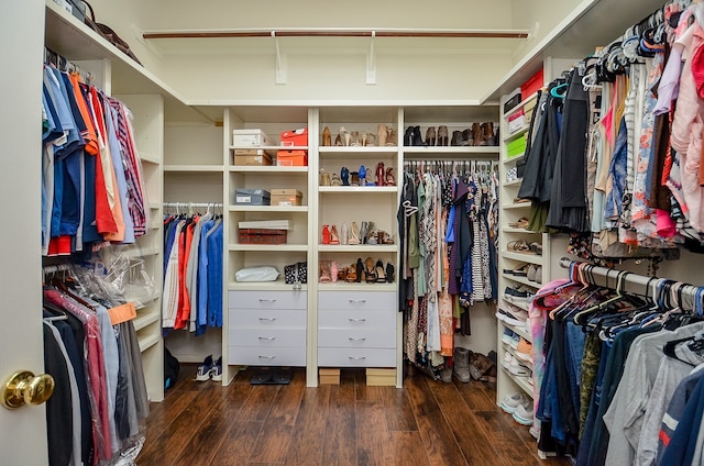 spacious closet with dark wood-type flooring