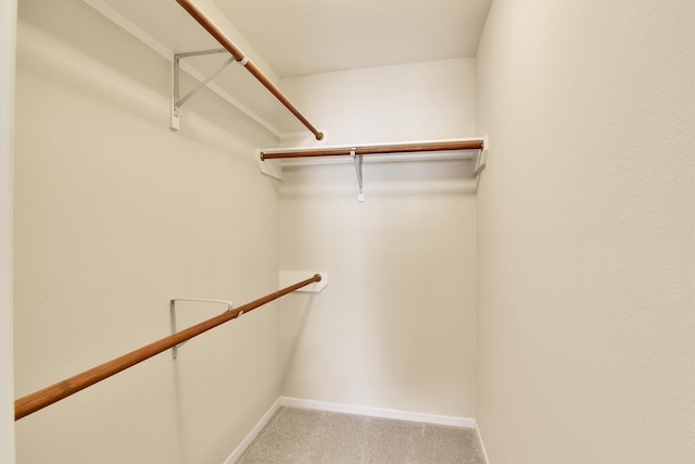 spacious closet with carpet flooring